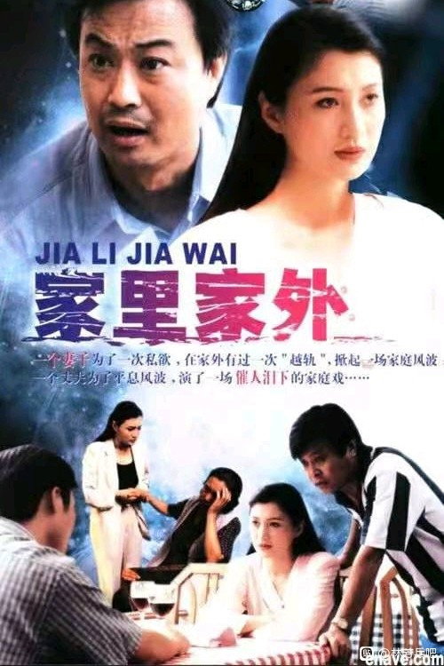 家里家外 poster