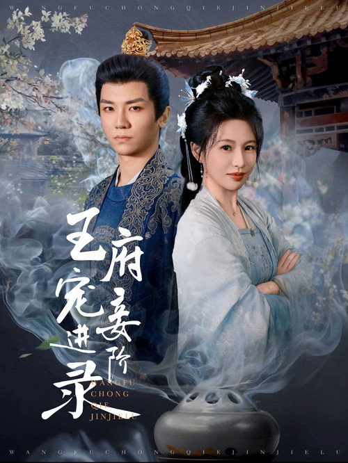 Rise of the Beloved Concubine poster