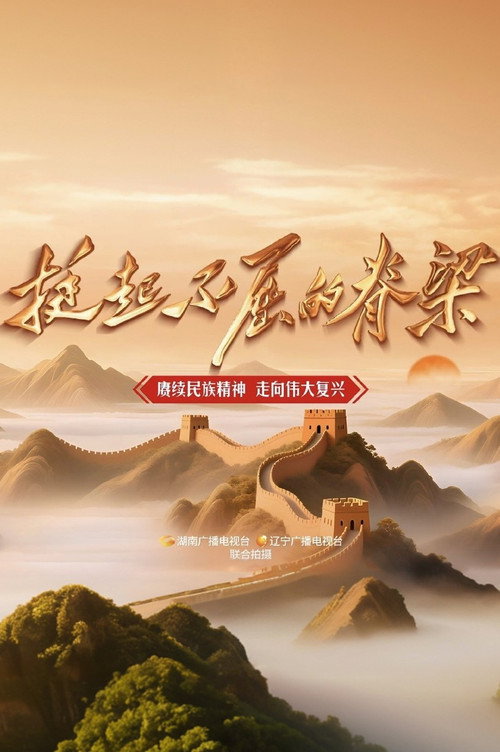 挺起不屈的脊梁 poster