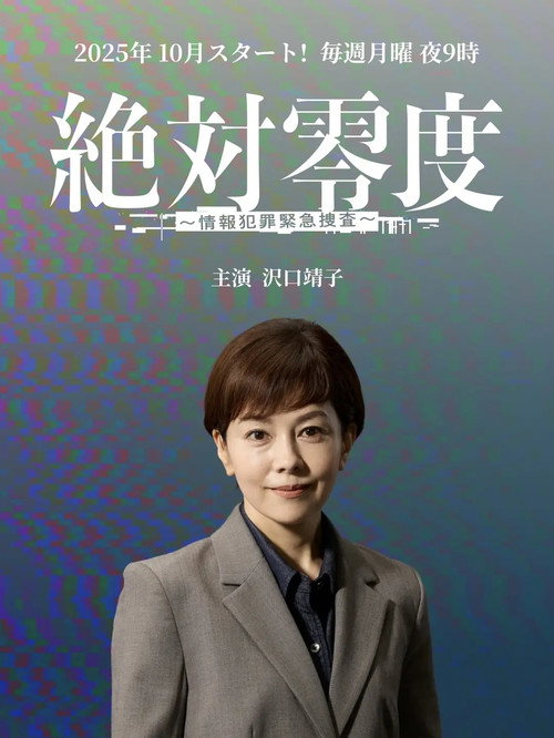 絶対零度~情報犯罪緊急捜査~ poster