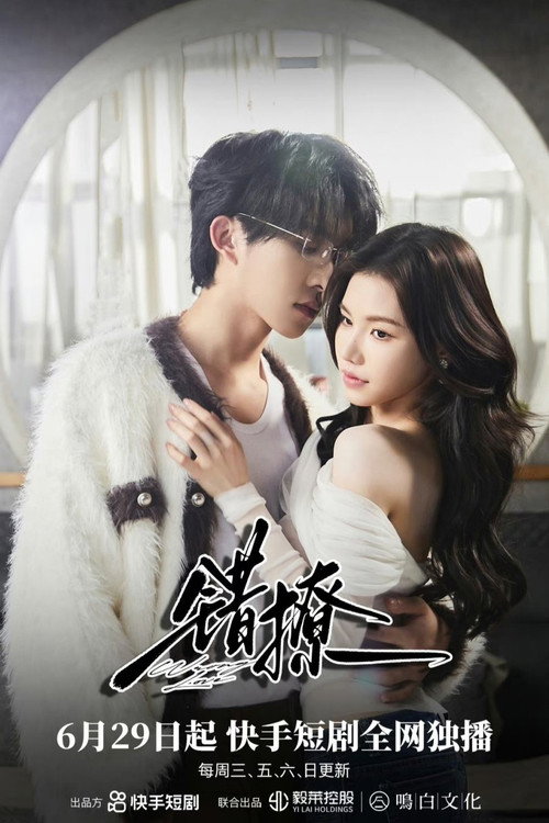 Wrong Love poster