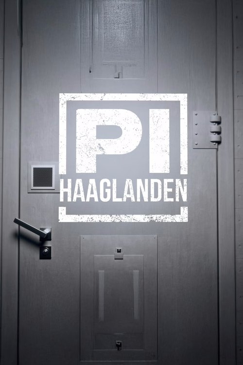 P.I. Haaglanden poster