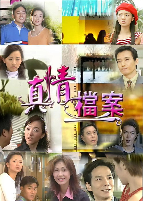 真情档案 poster