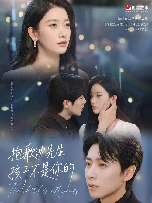 抱歉沈先生,孩子不是你的 poster