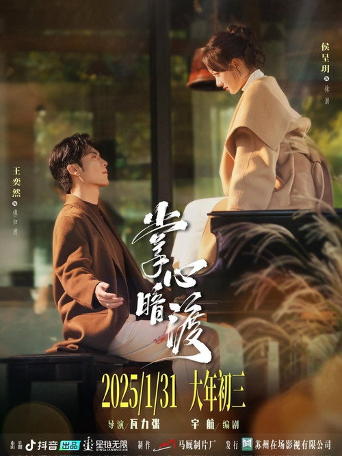 掌心暗渡 poster
