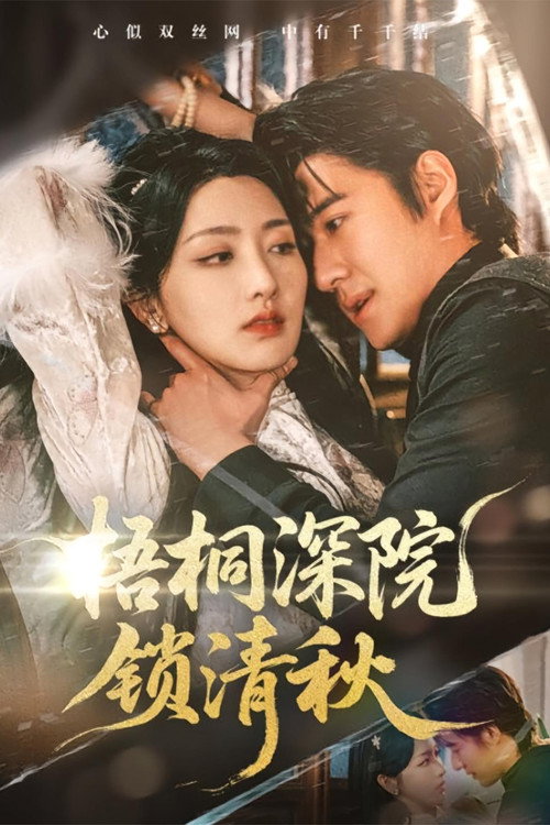 梧桐深院锁清秋 poster