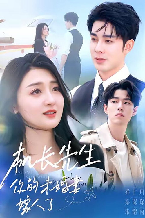 机长先生,你的未婚妻嫁人了 poster