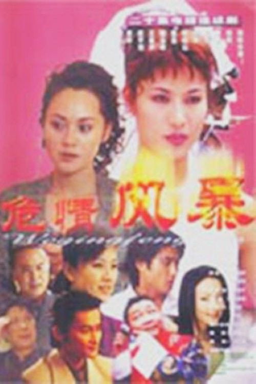 危情风暴 poster