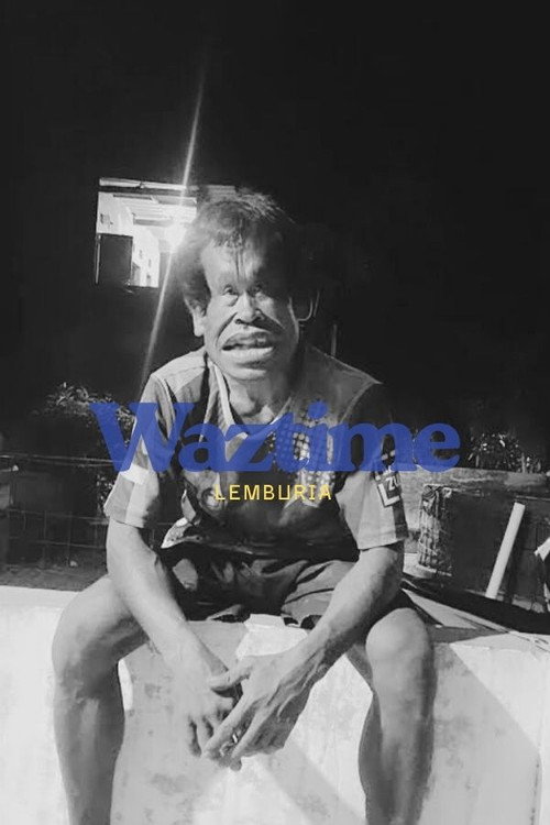 Wastim poster