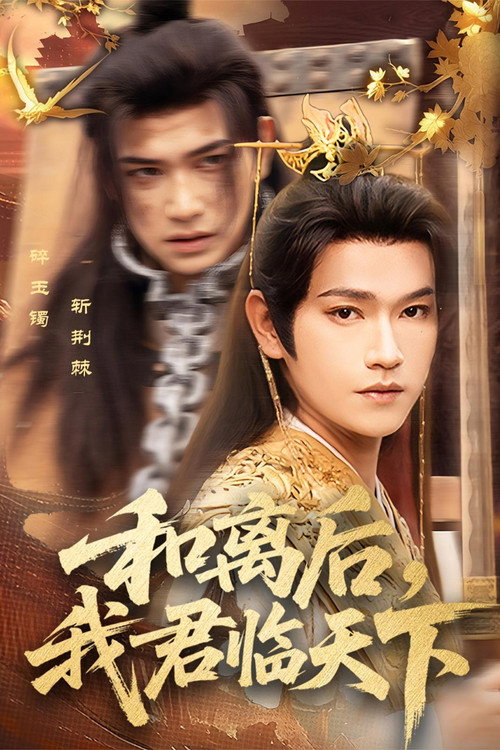 和离后,我君临天下 poster
