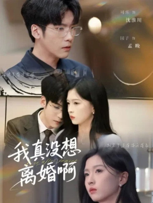 我真没想离婚啊 poster