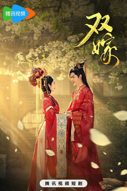 Bride Swap poster