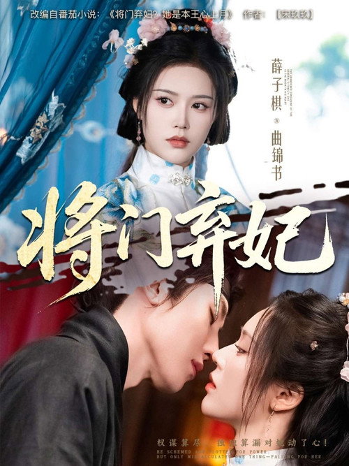 将门弃妃 poster