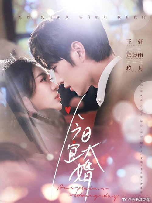Auspicious Wedding Day poster