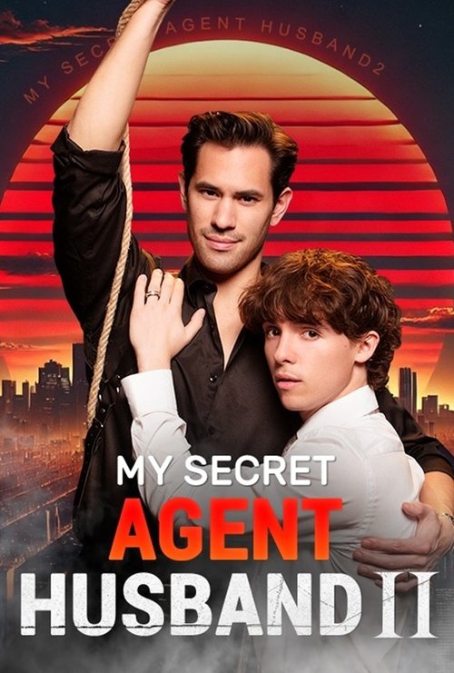 My Secret Agent Husband poster