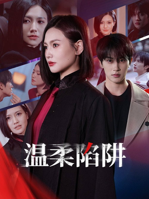 温柔陷阱 poster