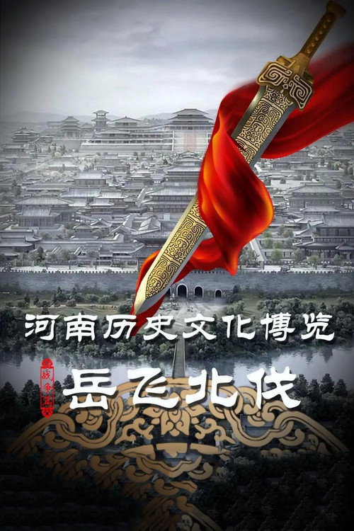 岳飞北伐 poster