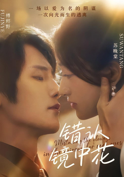 错认镜中花 poster