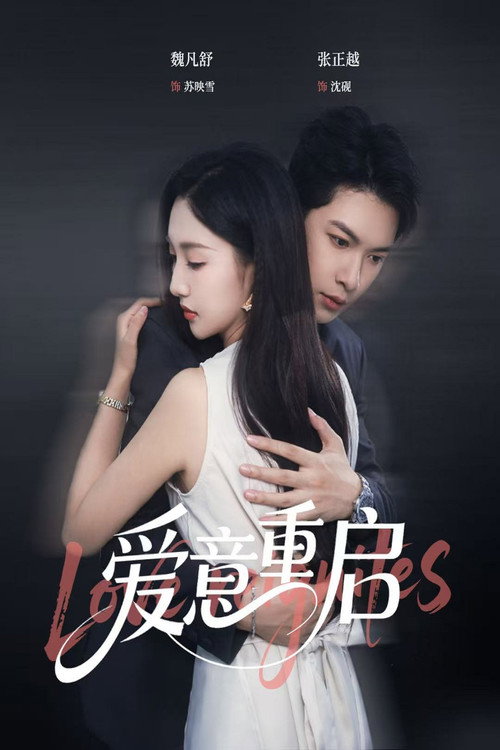 爱意重启 poster