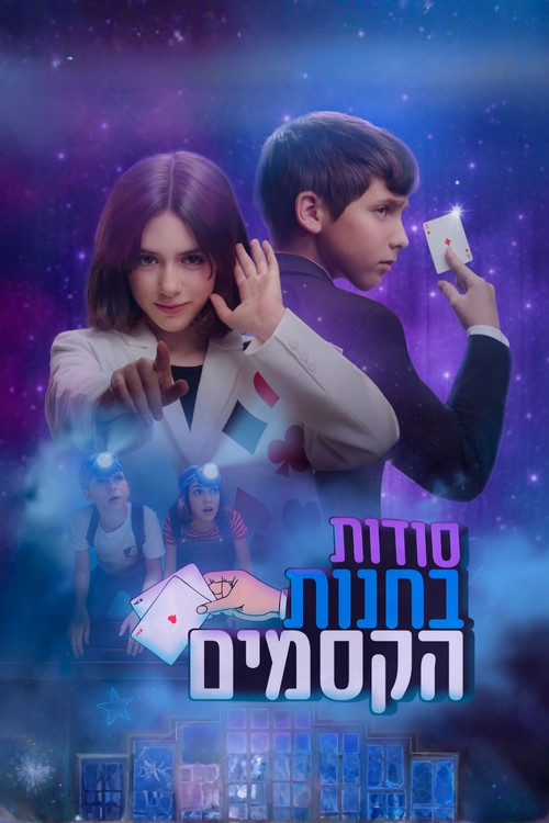סודות בחנות הקסמים poster