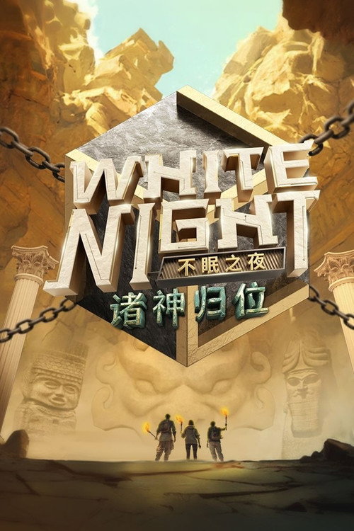 White Night 不眠之夜 poster