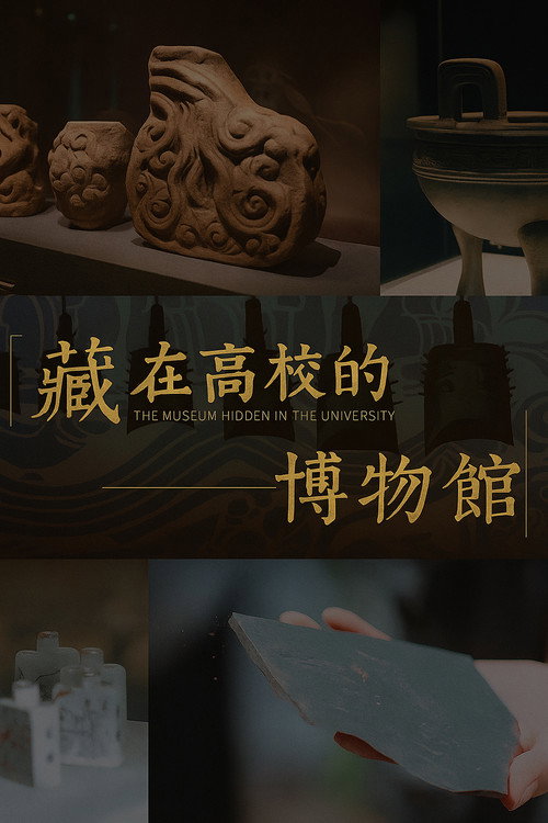 藏在高校的博物馆 poster