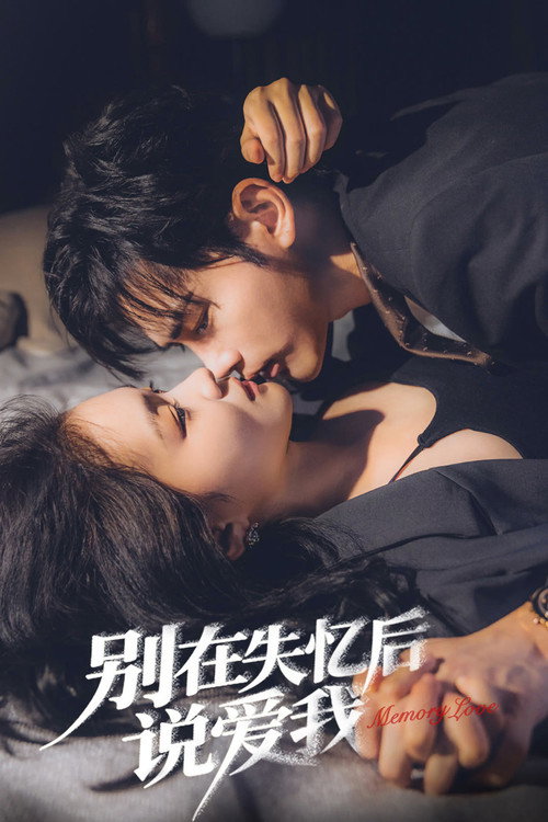 Memory Love poster