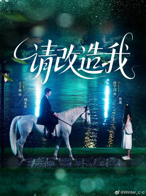 请改造我 poster