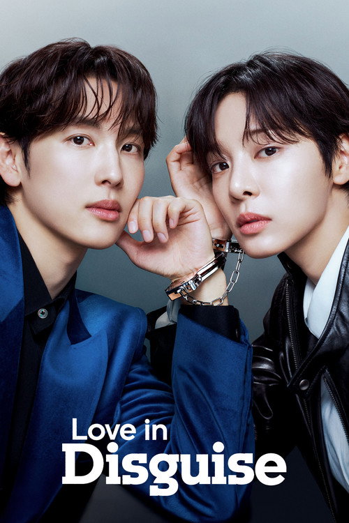 Love in Disguise poster