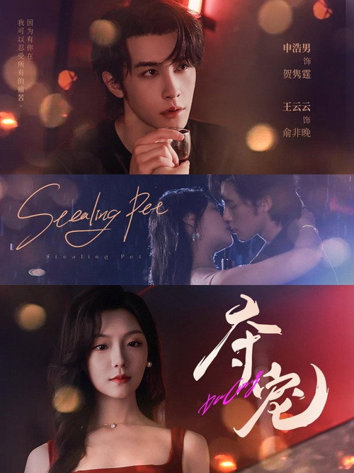夺宠 poster
