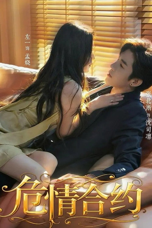 危情合约 poster