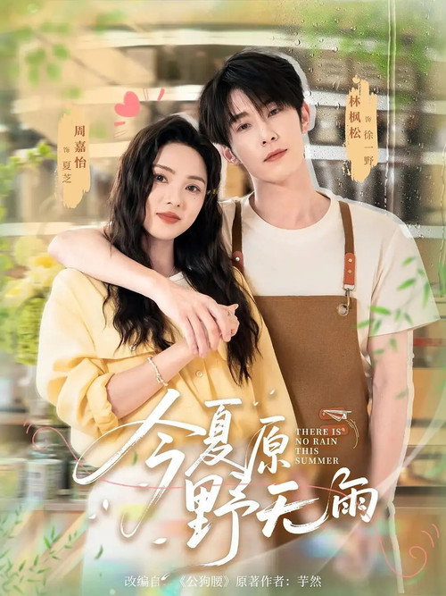 今夏原野无雨 poster