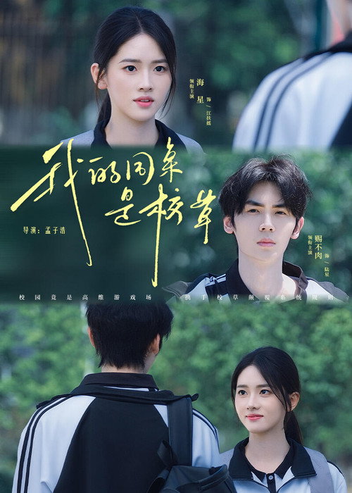 我的同桌是校草 poster