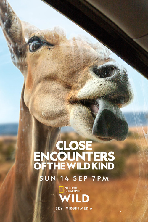 Close Encounters of the Wild Kind poster