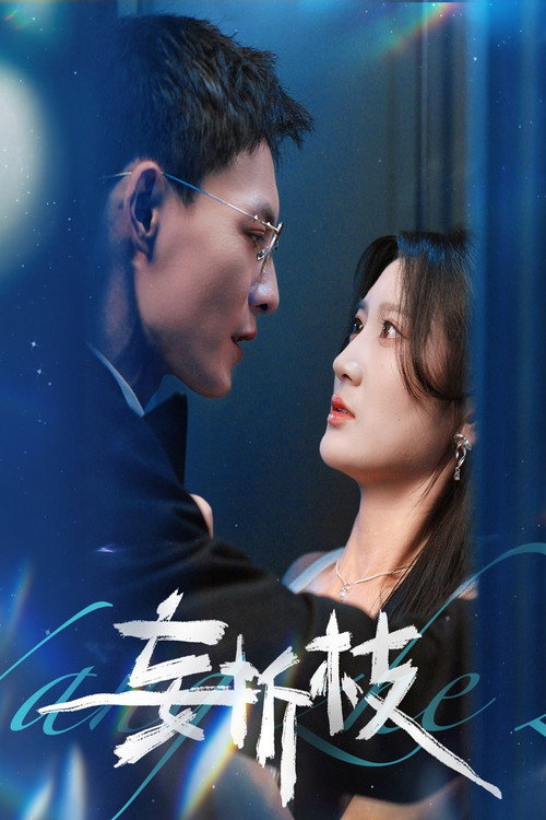妄折枝 poster