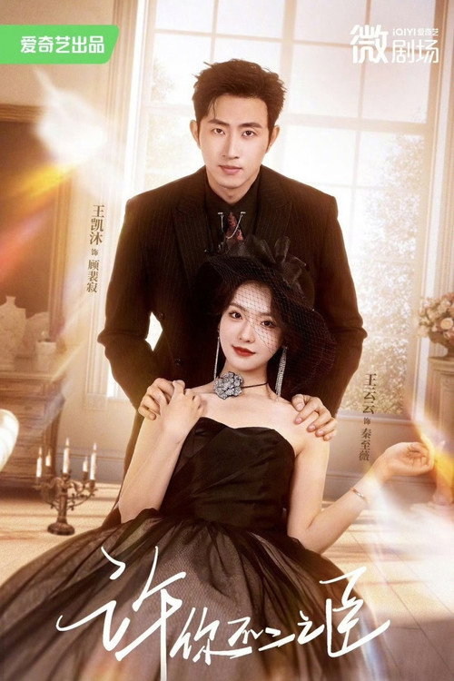 许你不二之臣 poster