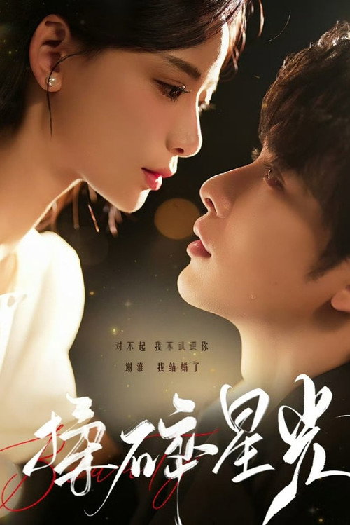 揉碎星光 poster