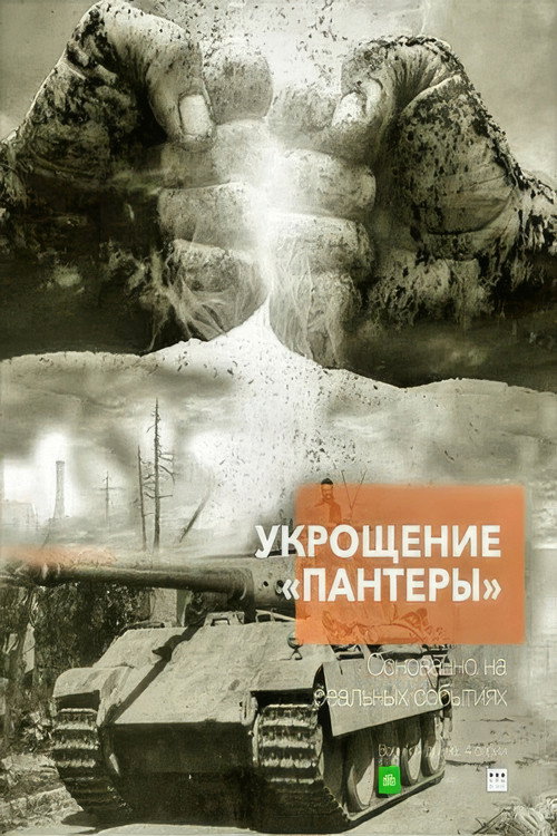 Укрощение «Пантеры» poster