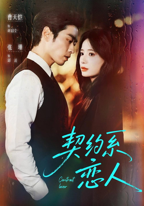 契约系恋人 poster