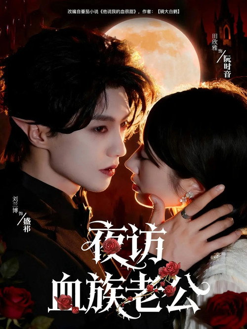 夜访血族老公 poster