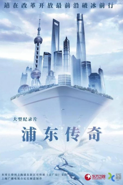 浦东传奇 poster