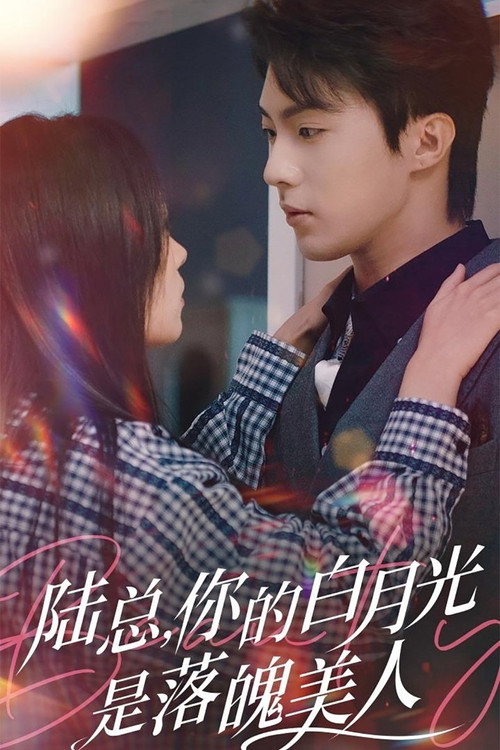 陆总, 你的白月光是落魄美人 poster