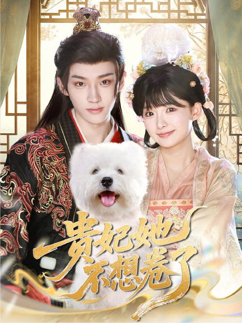 贵妃她不想卷了 poster