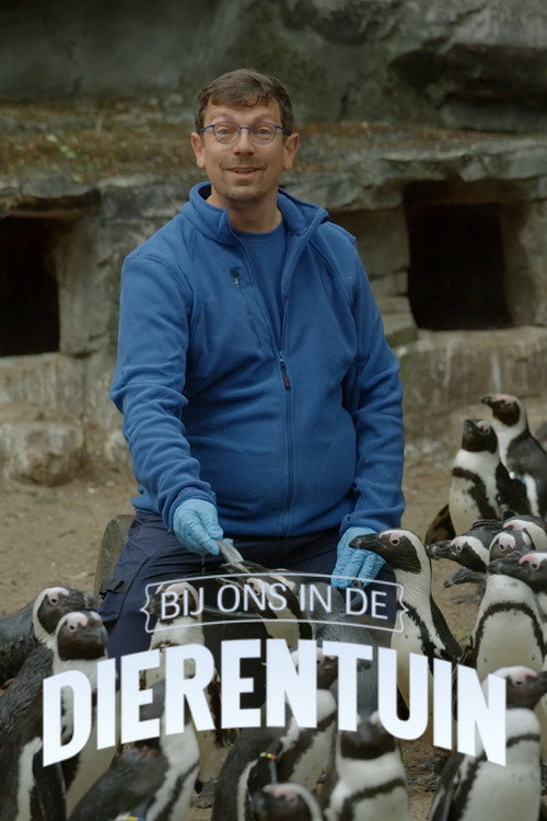 Bij ons in de Dierentuin poster