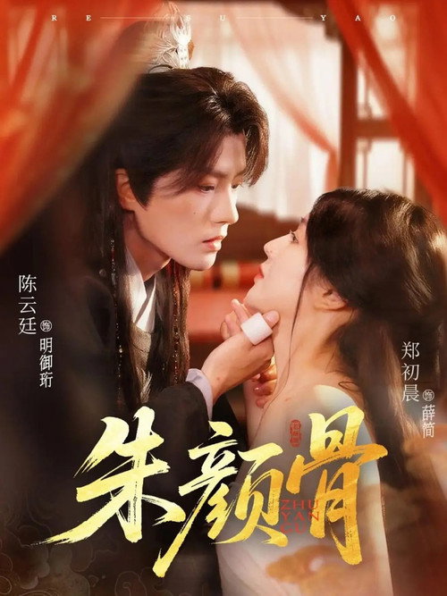 朱颜骨 poster