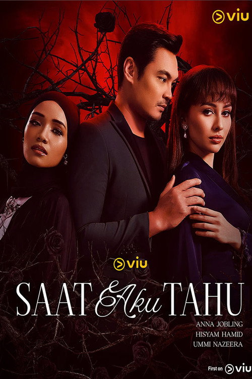 SAAT AKU TAHU poster