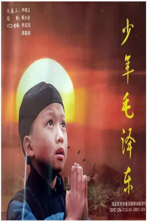 少年毛泽东 poster