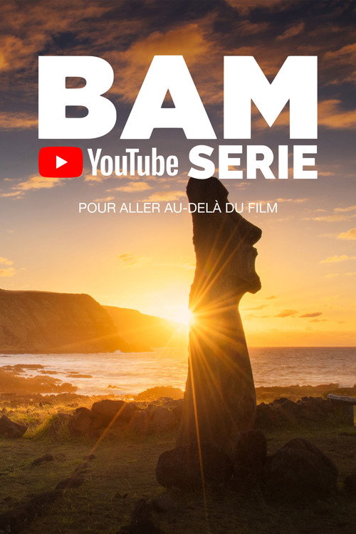 BAM SERIE poster