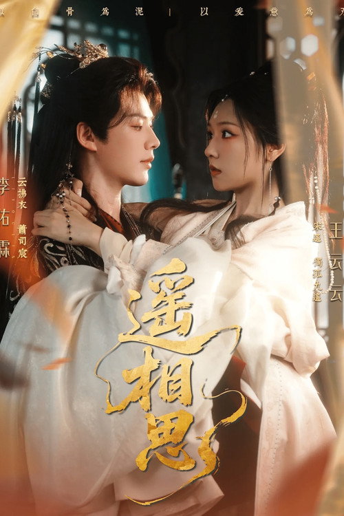 遥相思 poster