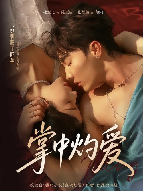 掌中灼爱 poster